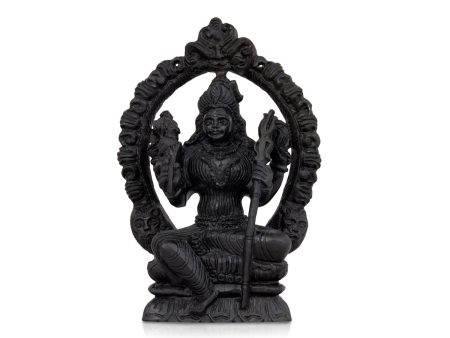 Kamakshi Shaligram Murti - 11 x 7.5 Inches | Shaligram Idol  Saligram Murti for Pooja  3 Kgs Approx Discount