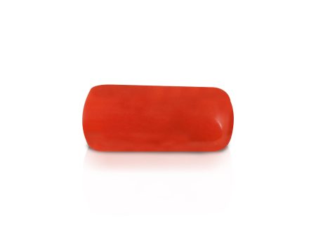 Coral Bead | Moonga Stone  Red Coral Online Sale