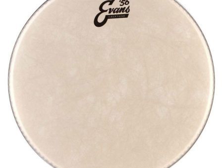 Evans 56 Calftone Drum head | 13  Online