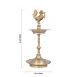 Brass Lamp - 8 x 3.5 Inches | Karaikudi Annam Kuthu Vilakku  Brass Deep for Pooja  310 Gms Approx Fashion