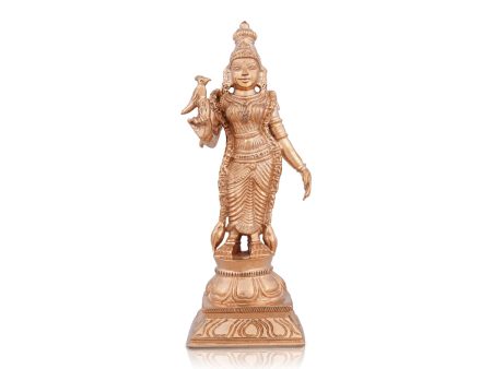 Meenakshi Amman Statue - 6 x 2.5 Inches | Panchaloha Statue  Standing Meenakshi Amman Idol for Pooja  440 Gms For Discount