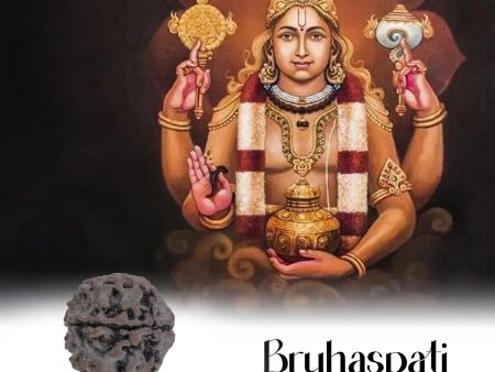 4 Mukhi Rudraksha Bead | Four Face Rudraksha  Four Mukhi Rudraksha for Men & Women Discount