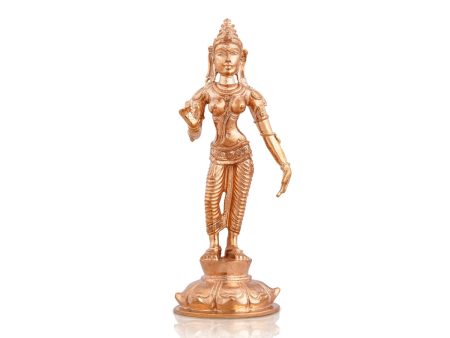 Parvati Murti - 5 x 1.75 Inches | Sivagami Statue  Panchaloha Statue  Sivagami Idol for Pooja  225 Gms Approx Online Sale