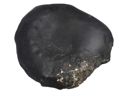 Swarn Laxmi Varaha Janardhan Durlabh Shaligram Murti | Saligram Murti for Pooja  16.220 Kgs Approx Hot on Sale