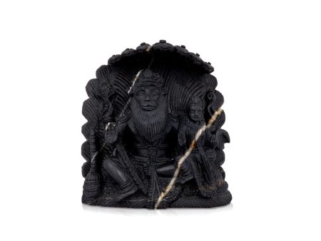 Adwaita Laxmi Narasimha Shaligram Murti - 7 x 6.5 Inches | Shaligram Idol  Saligram Murti for Pooja  3.180 Kgs For Sale