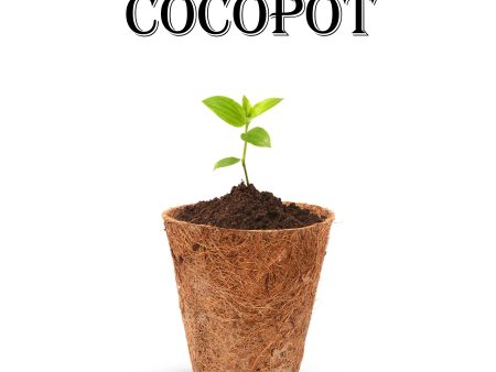 Coco Pot - 3 Inches | Coir Pot  Coir Plant Pot Hot on Sale