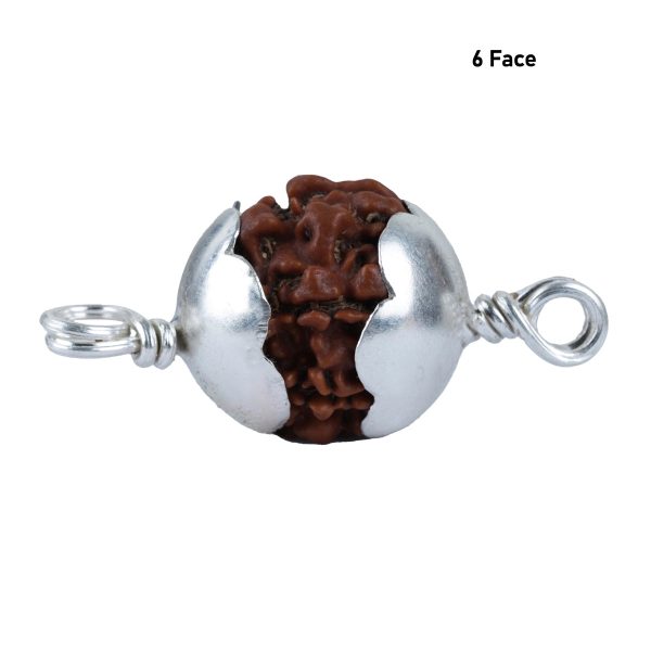 6 Mukhi Rudraksha Bead | Silver Cup Rudraksha  6 Mugam Bead  6 Face Rudraksh Bead for Men and Women For Sale