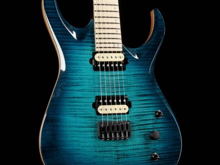 Skervesen Nebelung 6 Ocean Blue Sale